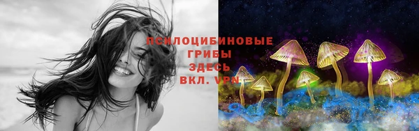 кокаин Краснослободск
