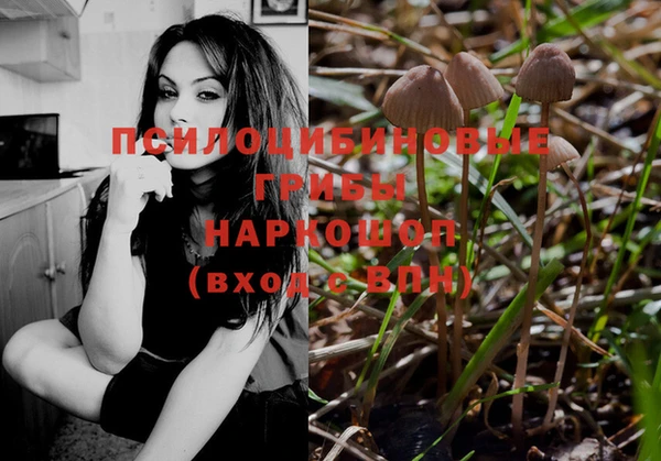 a pvp Бородино