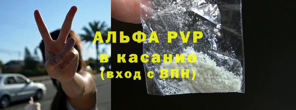a pvp Бородино
