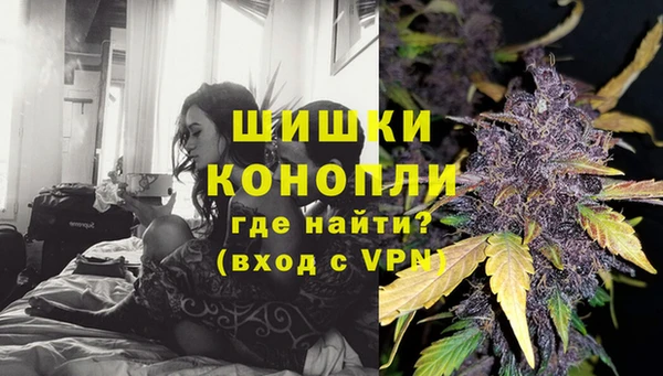 a pvp Бородино