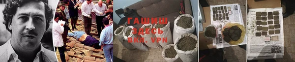 a pvp Бородино