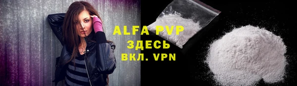 a pvp Бородино