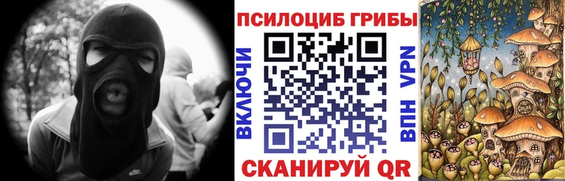 Псилоцибиновые грибы Psilocybe купить наркотик Ворсма